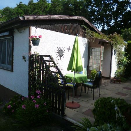 Ferienhaus Anne Thale Esterno foto