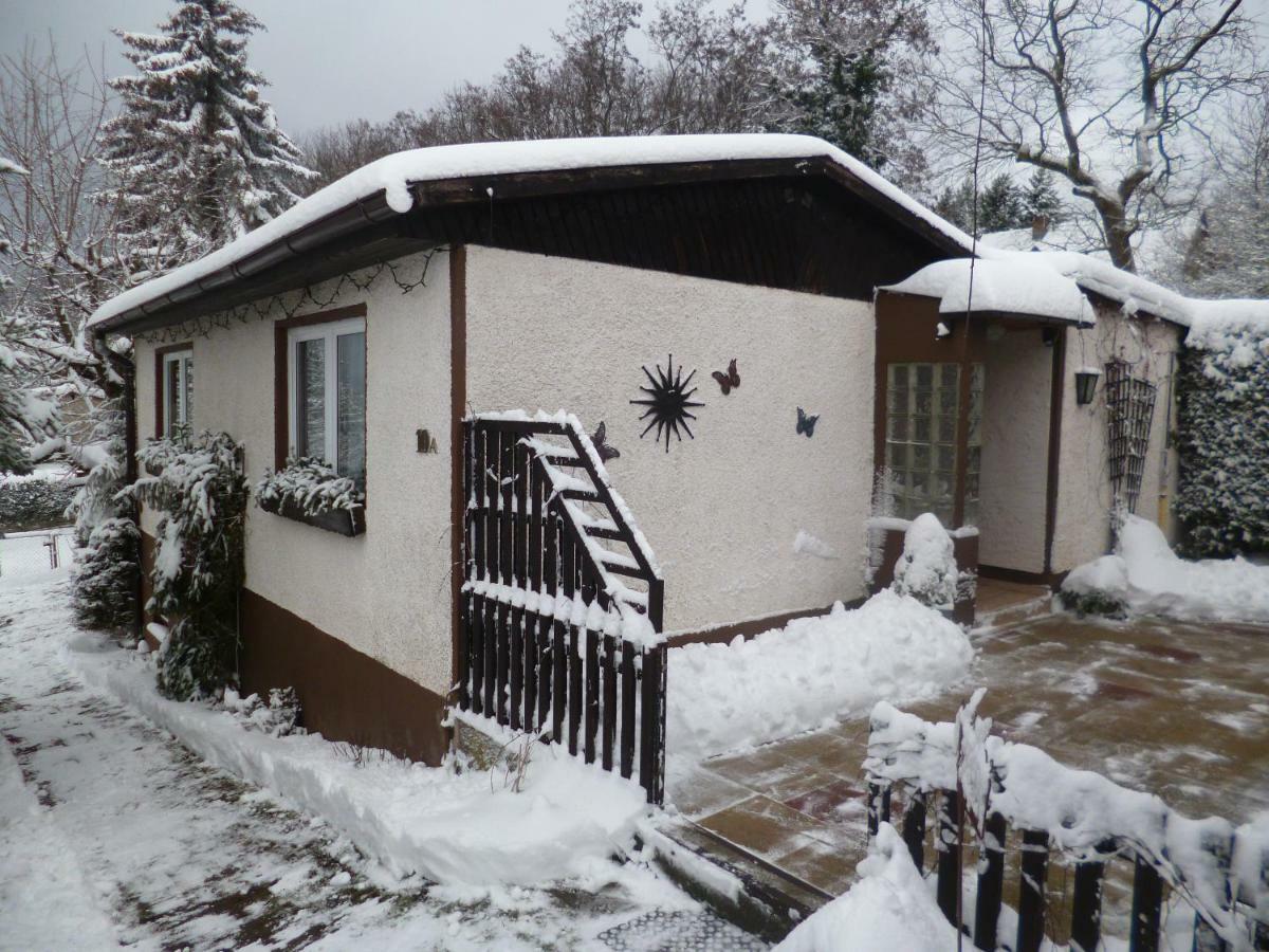Ferienhaus Anne Thale Esterno foto
